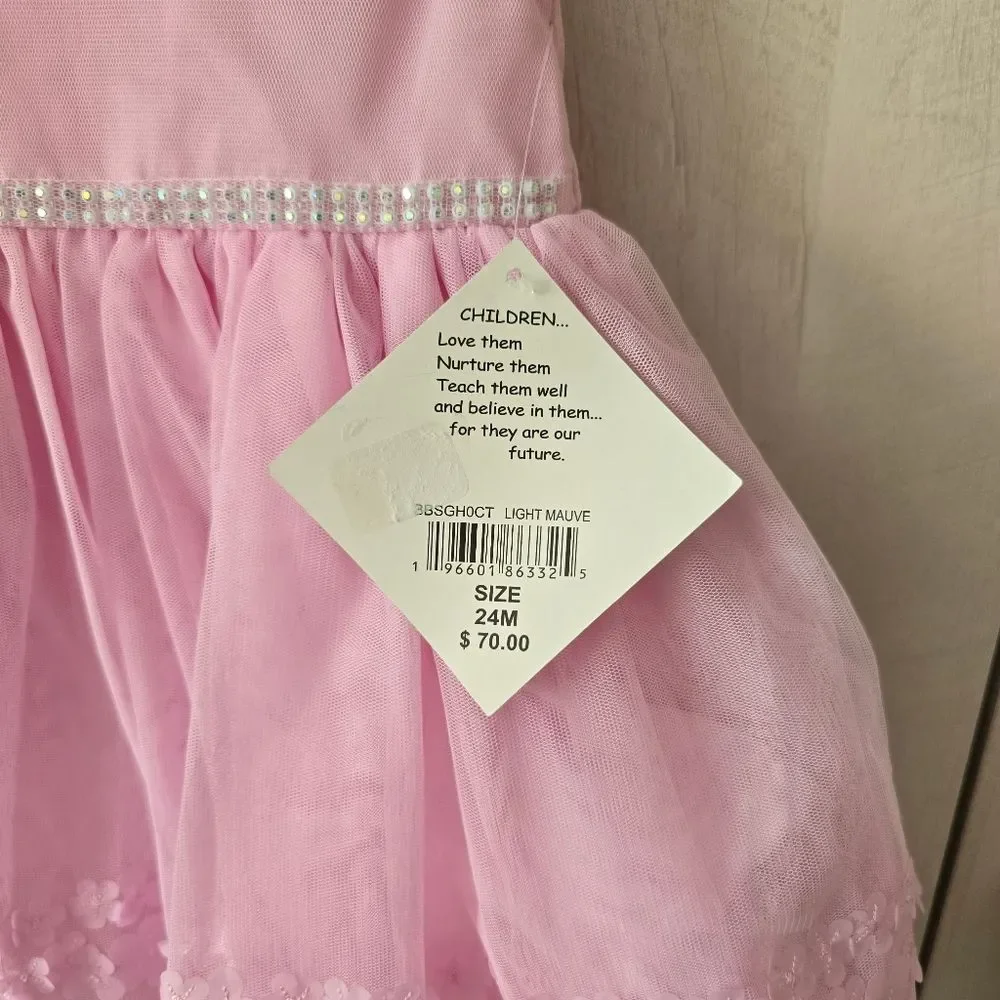 Blueberi Boulevard Baby Girls Embroidered Embellishment mesh dress 24 months